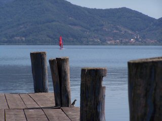 Massaciuccoli Lake from Torre del Lago Puccini - Viareggio - Italy