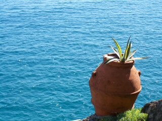 Orcio at Monterosso al Mare - Italy